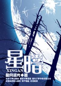 风动鸣之星暗TXT全集封面