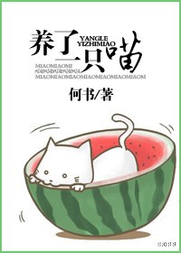 养了一只喵TXT全集封面