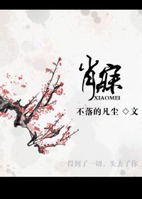 肖寐TXT全集封面