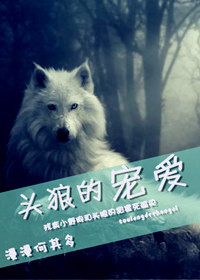 头狼的宠爱TXT全集封面