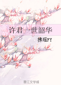 许君一世韶华TXT全集封面