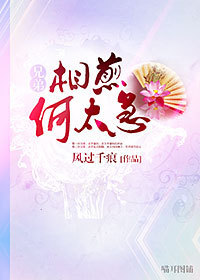 相煎何太急TXT全集封面