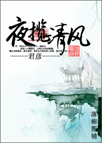 夜揽清风TXT全集封面