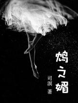 鸩之媚TXT全集封面