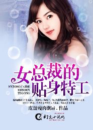 女总裁的贴身特工TXT全集封面