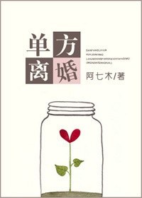 单方离婚TXT全集封面