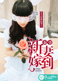 秦爷,新妻嫁到TXT全集封面