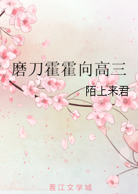 磨刀霍霍向高三TXT全集封面