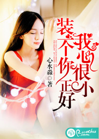 我心很小,装一个你正好TXT全集封面