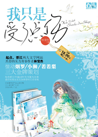 我只是受了点伤TXT全集封面