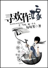 寻欢作嫁TXT全集封面