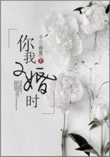 你我二婚时TXT全集封面