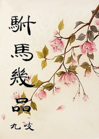 驸马几品TXT全集封面