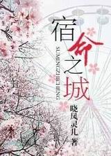 宿命之城TXT全集封面
