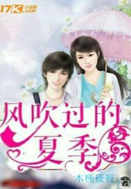 风吹过的夏季TXT全集封面