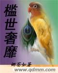 槛世奢靡TXT全集封面