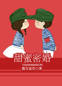 甜蜜密婚TXT全集封面
