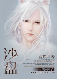 沙盘TXT全集封面