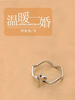 温暖一婚TXT全集封面