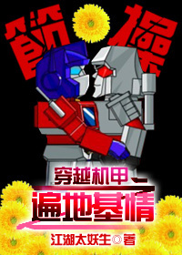 穿越机甲之遍地基情TXT全集封面