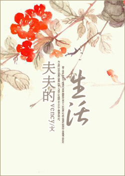 夫夫的生活TXT全集封面