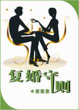 复婚守则TXT全集封面