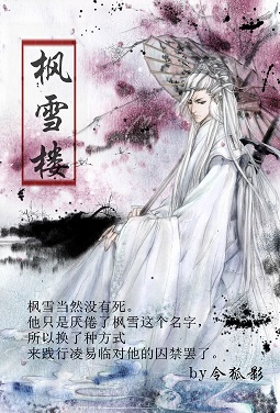 枫雪楼TXT全集封面