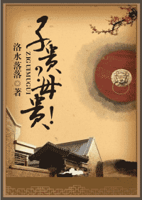 子贵?母贵!TXT全集封面