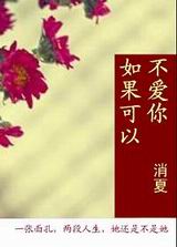 如果可以不爱你TXT全集封面