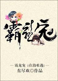 霸龙宠TXT全集封面