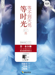 等不到天亮等时光TXT全集封面