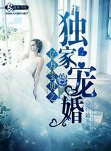 亿万宝贝之独家宠婚TXT全集封面