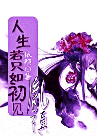 人生若只如初见 胤禛TXT全集封面