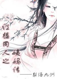 红楼同人之姨妈传TXT全集封面