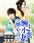 婚心计:缠上小蛮妻TXT全集封面