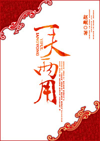 一夫两用TXT全集封面