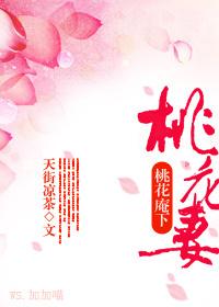 桃花庵下桃花妻TXT全集封面
