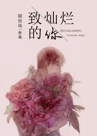 致灿烂的你TXT全集封面