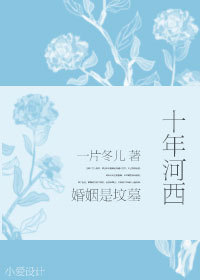 十年河西TXT全集封面