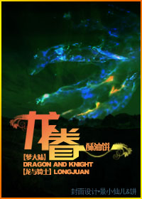 龙眷TXT全集封面