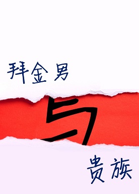 星际之拜金男与贵族TXT全集封面