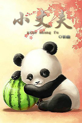 小丈夫TXT全集封面