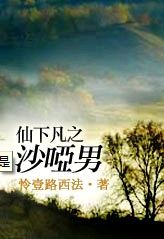 仙下凡之沙哑男TXT全集封面