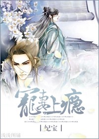 宠妻上瘾TXT全集封面