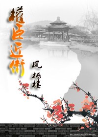 男宠之近侍TXT全集封面