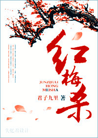 红梅杀TXT全集封面