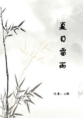 夏日雷雨TXT全集封面