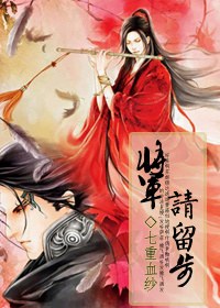 将军,请留步TXT全集封面