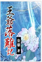 王爷落难记TXT全集封面