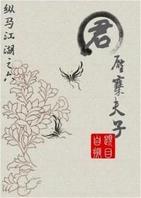 君,压寨夫子TXT全集封面